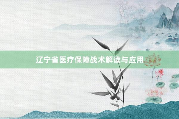 辽宁省医疗保障战术解读与应用